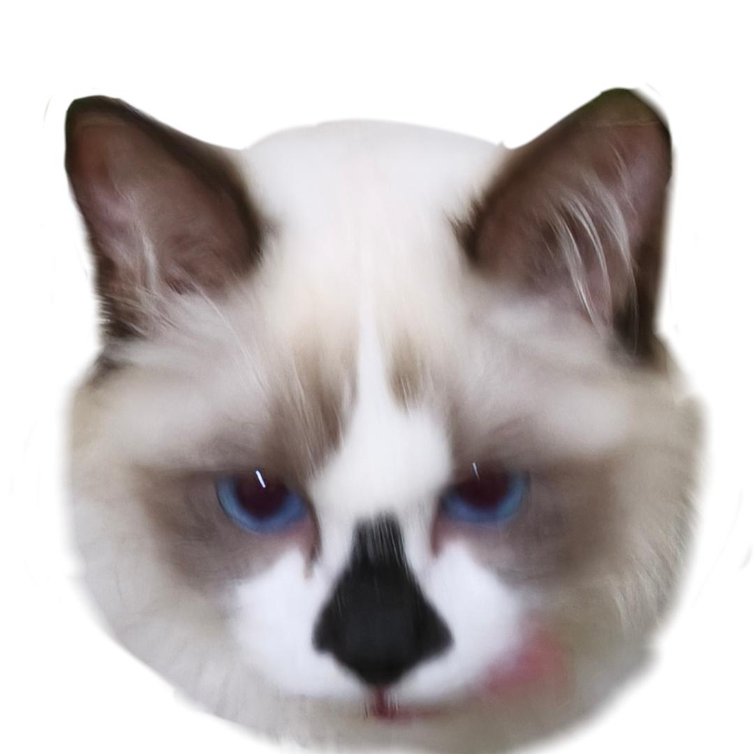 Pkisky