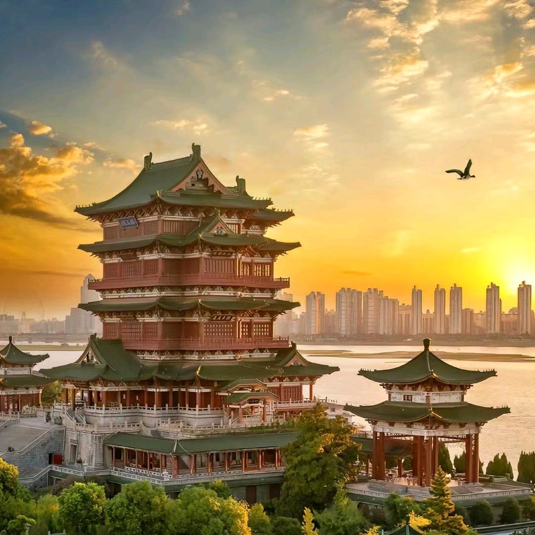 国内🇨🇳旅游专线（国旅推荐）