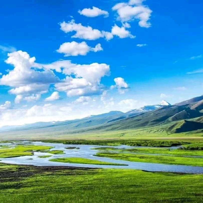春意浓    李