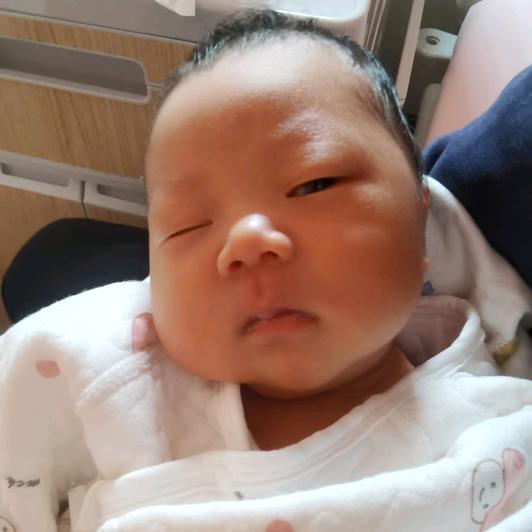 小海盗