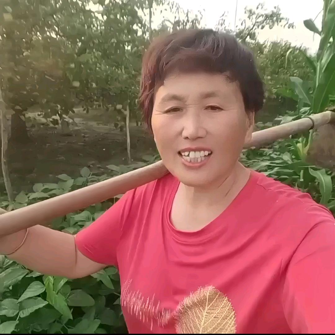梦想成真