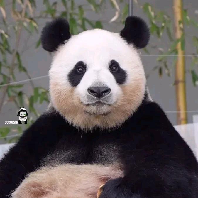 休闲日子