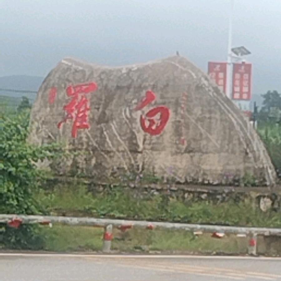 广西单身打工仔红颜知己