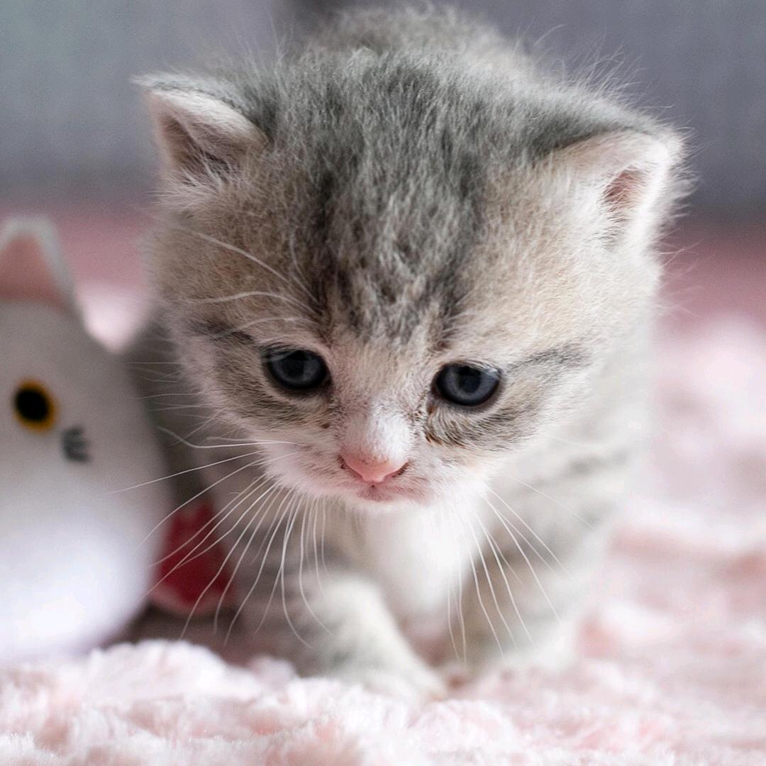 承接上门洗发理发@小杰