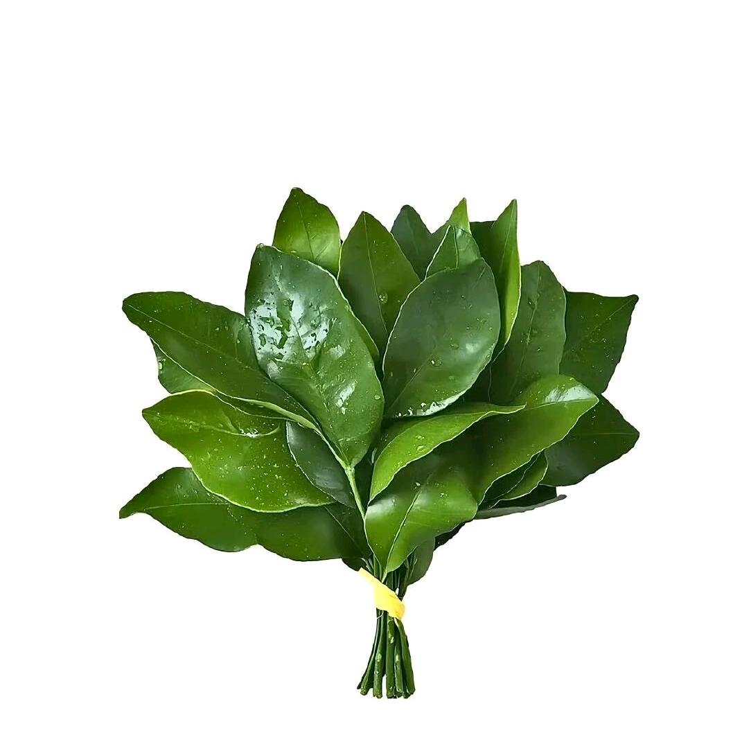 爱玩的萌子