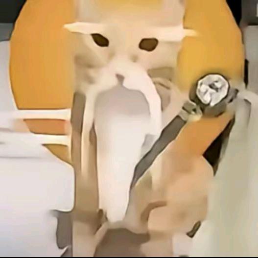 哈→哈↑哈↓哈↑