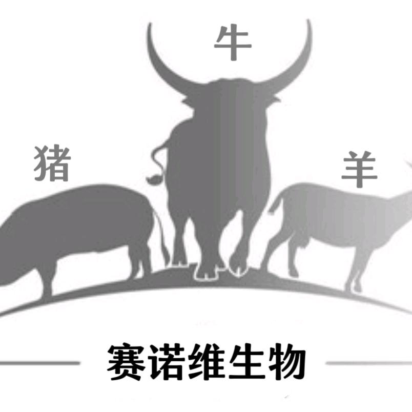 猪事顺利-申岩