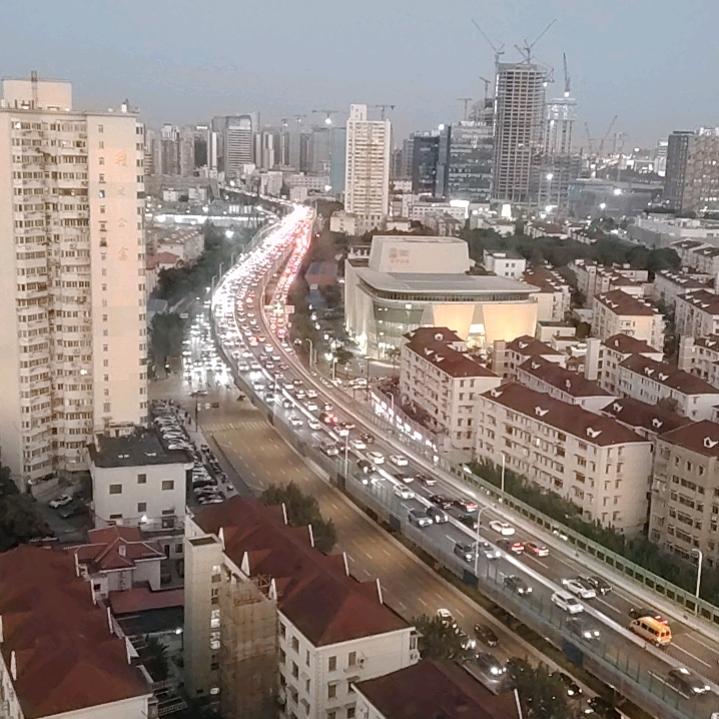 ☘️爱永远闪耀☘️