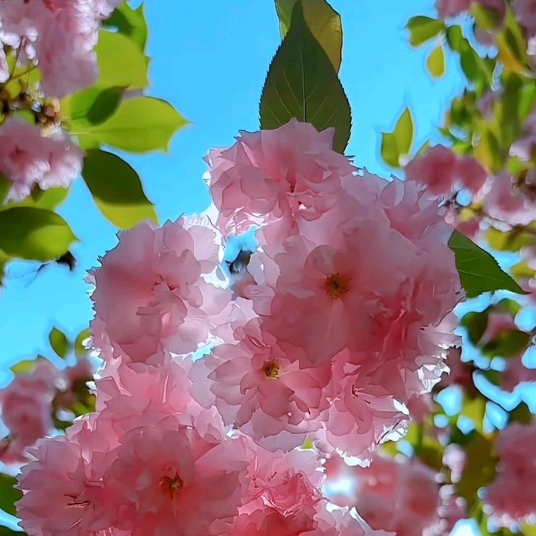 💕心ོ归零ོ