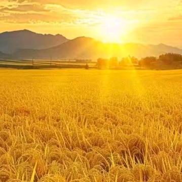 🇨🇳天赐鸿福🔥