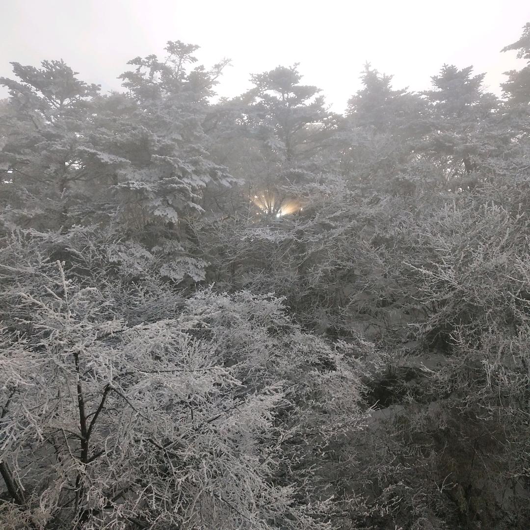 气质小欣哥