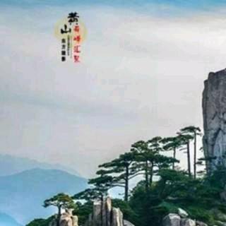 自然风0169