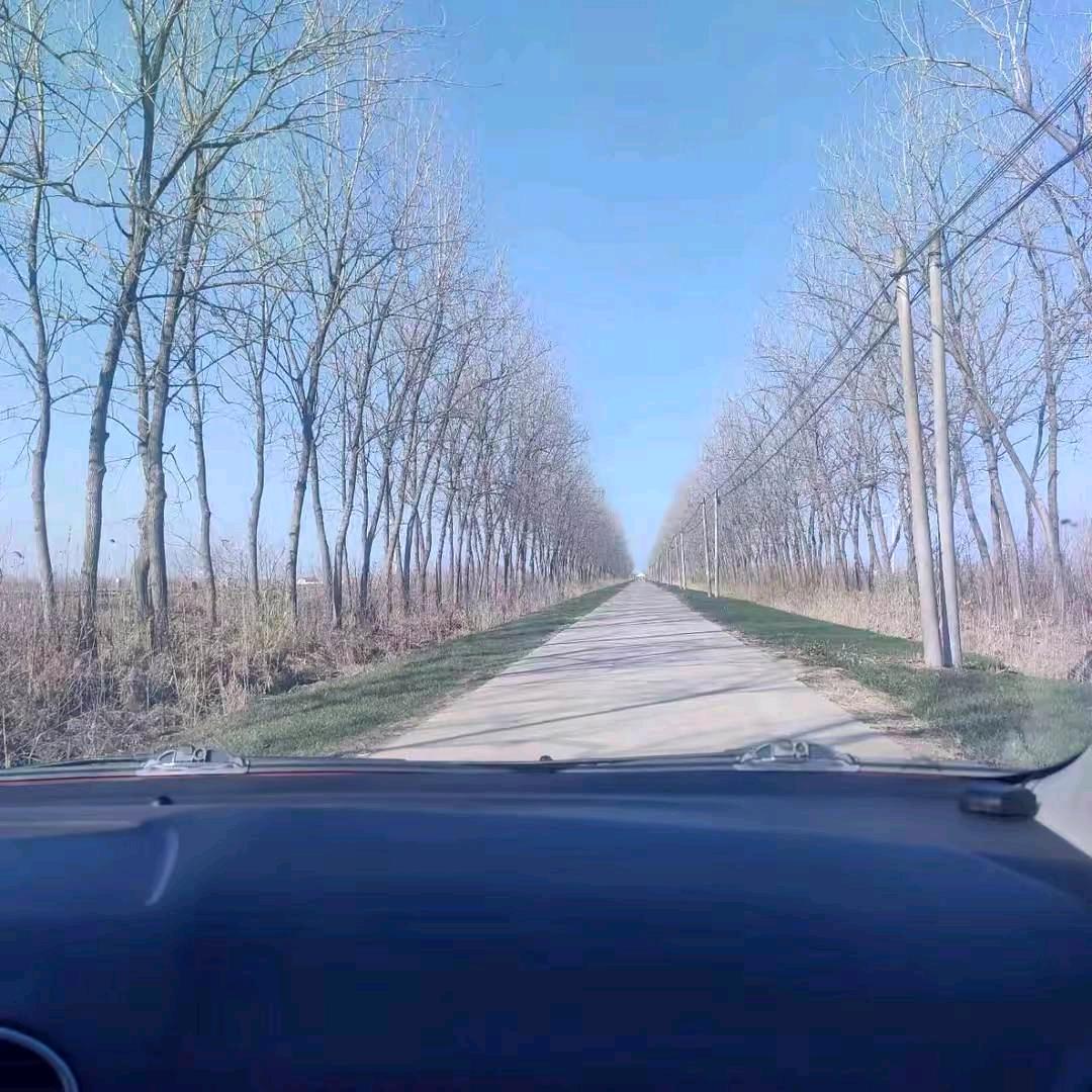 魏来可期.
