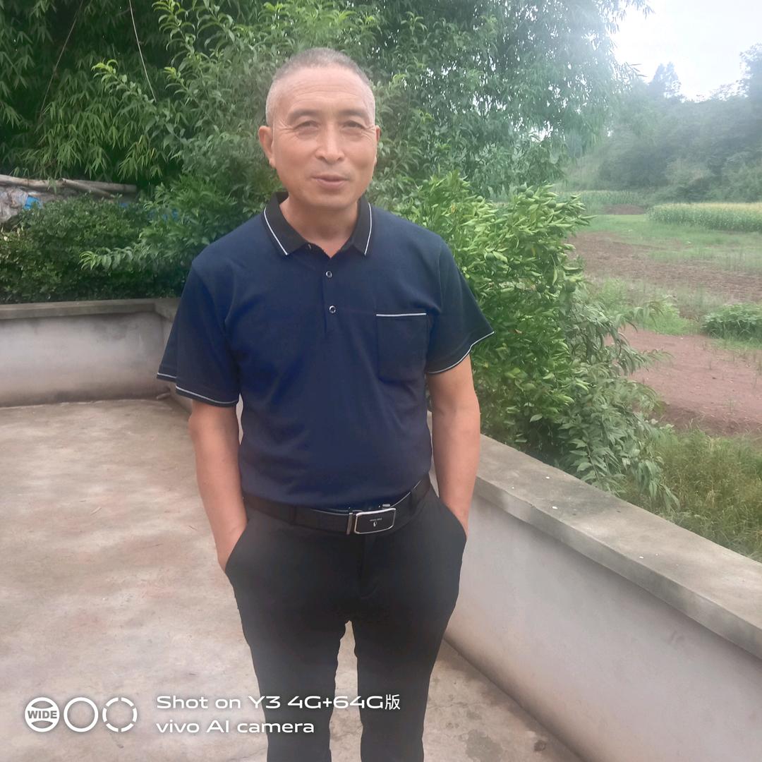 伍哥