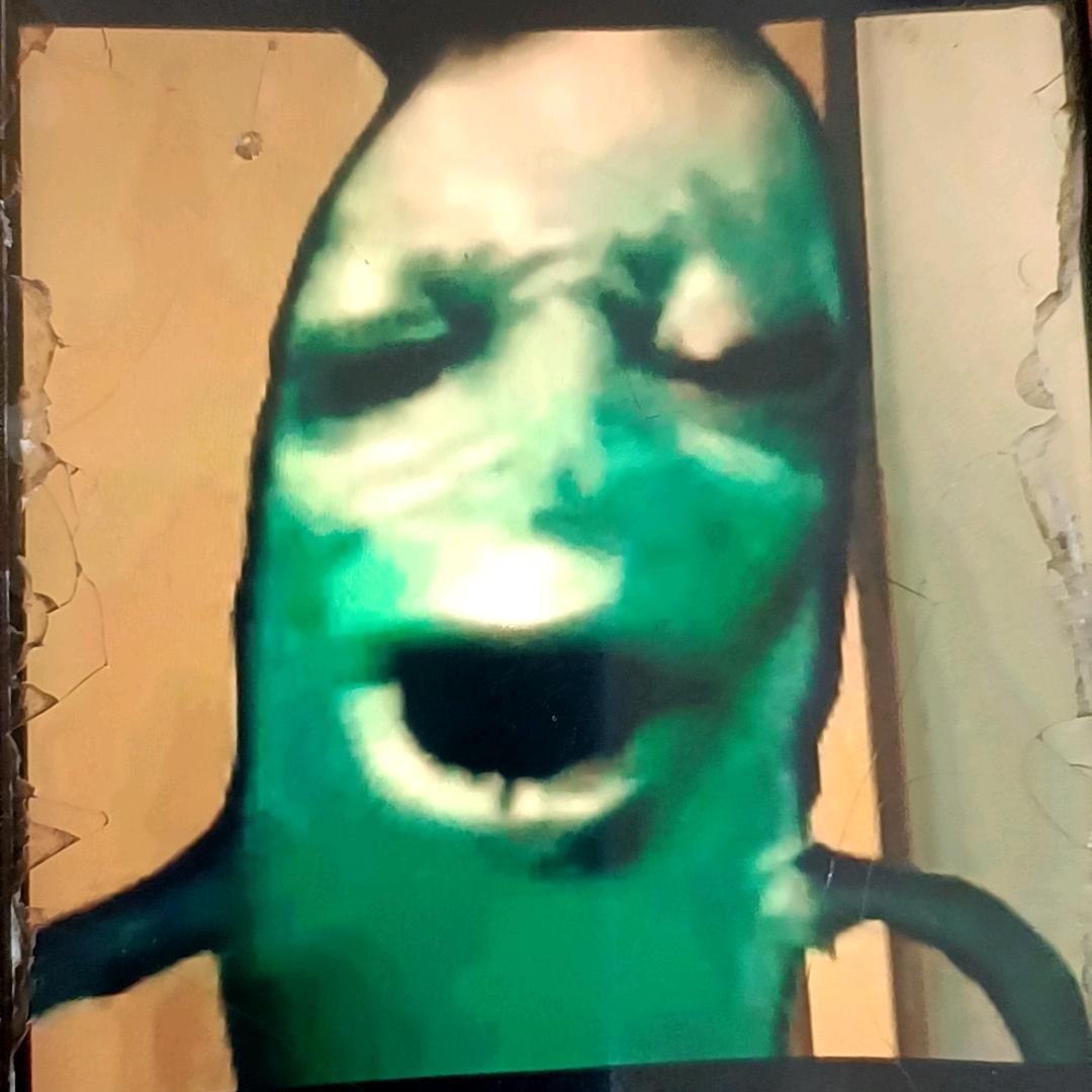 蛋仔