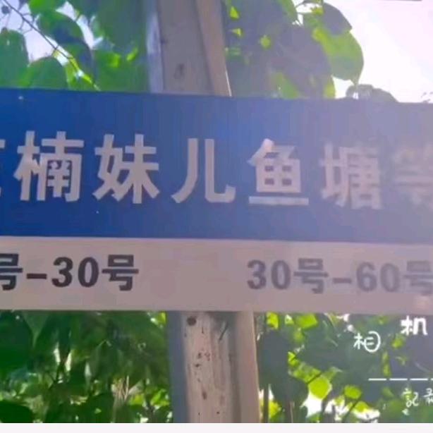 楠妹儿钓场