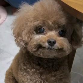 怡笑倾城