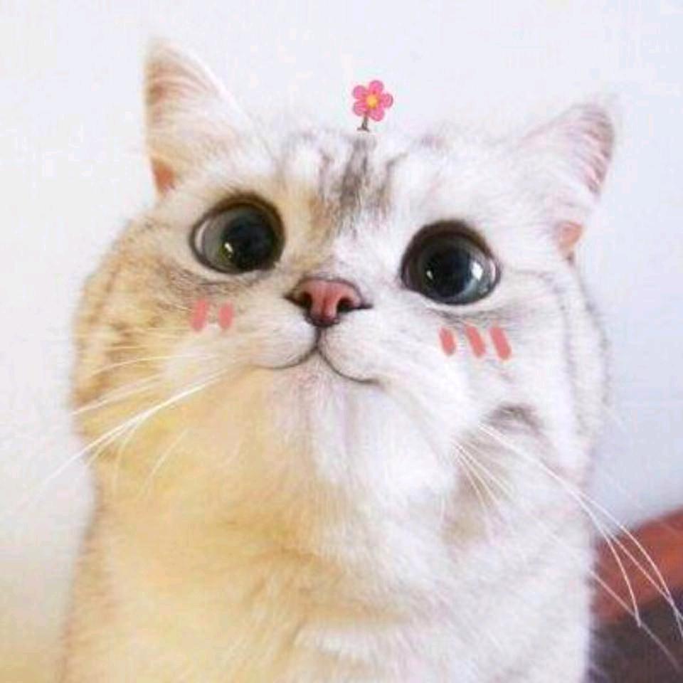 独白