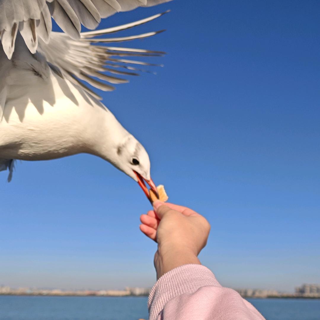 zoey-L-直播法考的学习，督促自己篇
