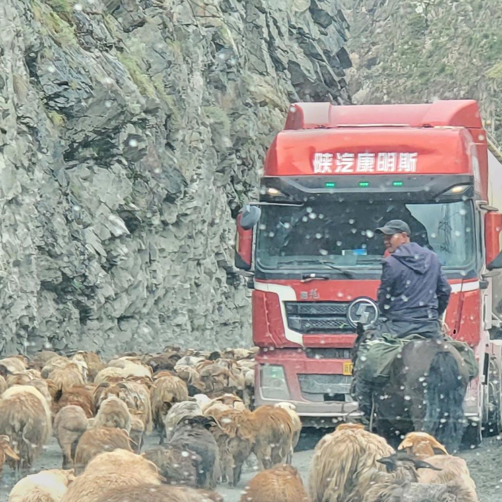 西环路李总(回收旧物资)
