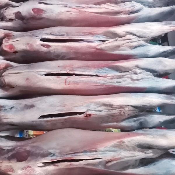 王世平牛羊鸡鱼肉店