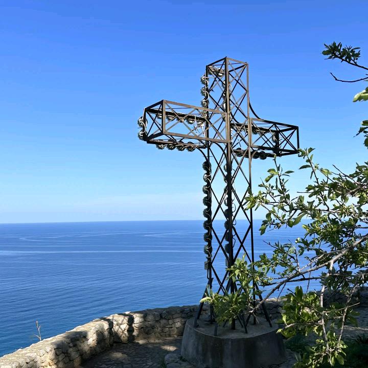海带