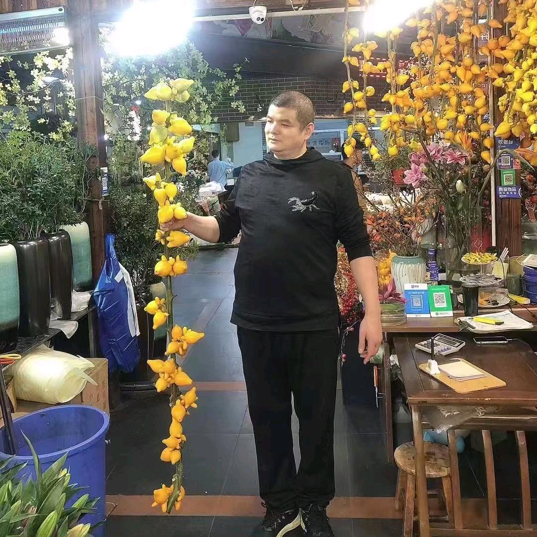 上海奥燃花卉 迟友亮