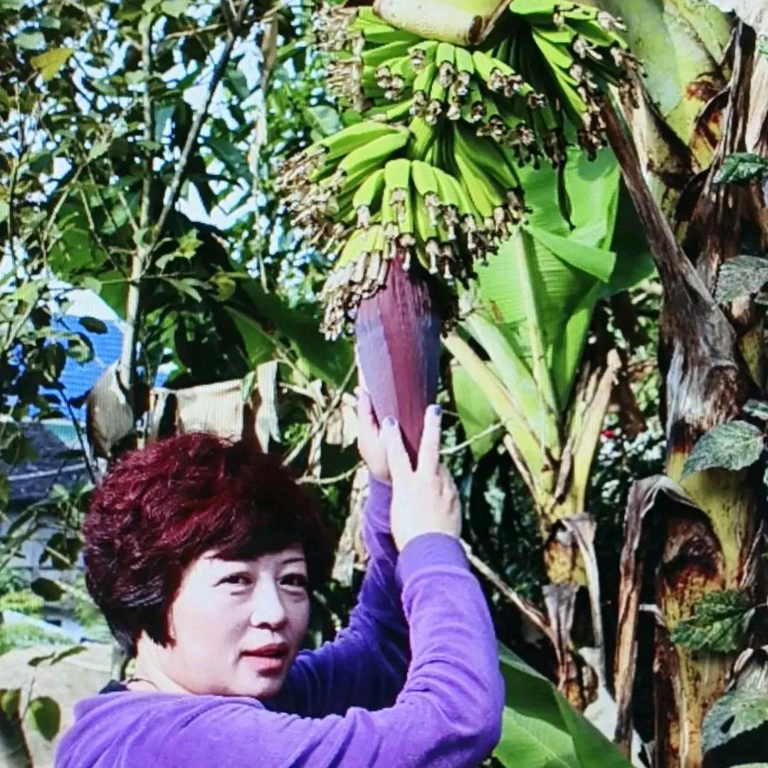 陈殿荣