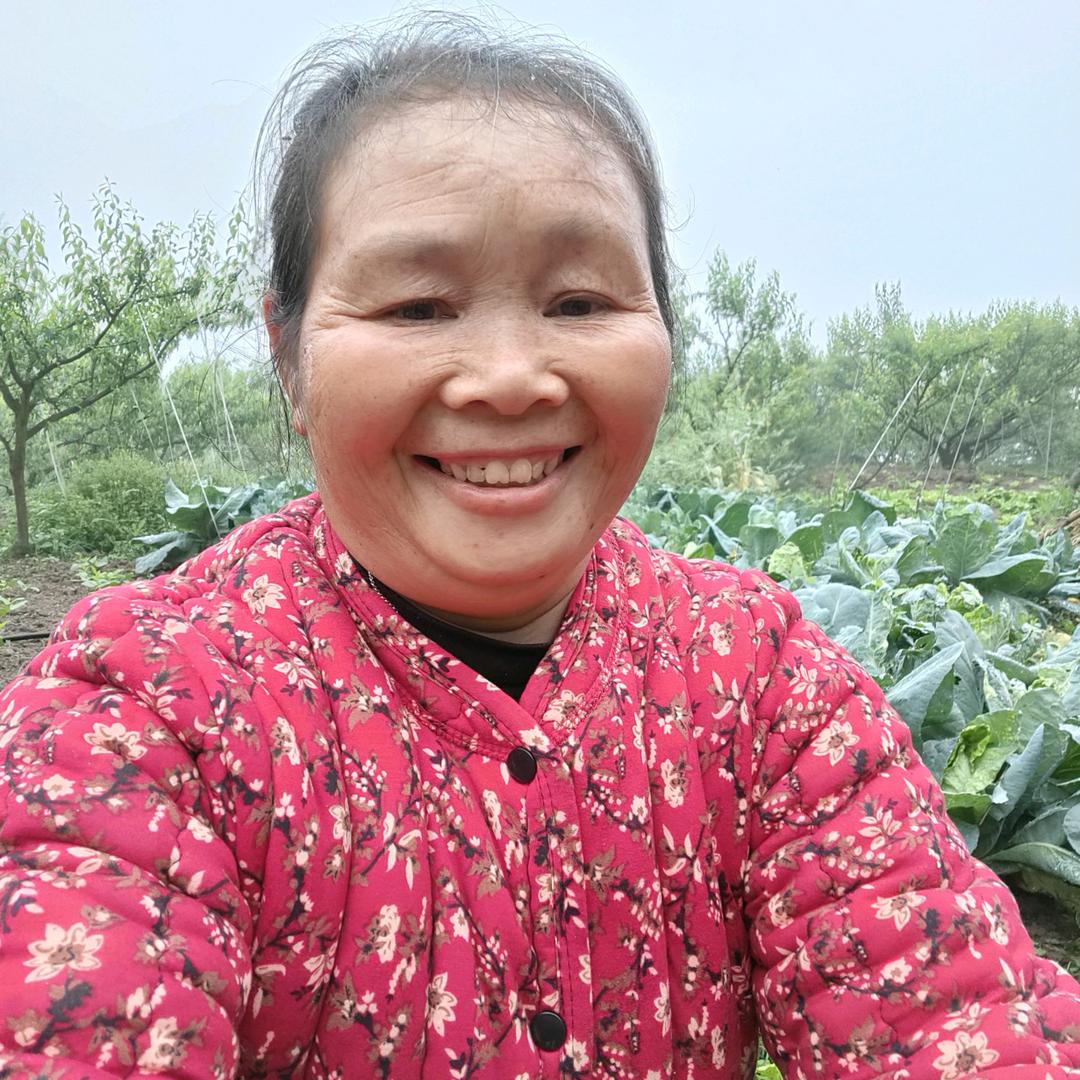 高姐姐