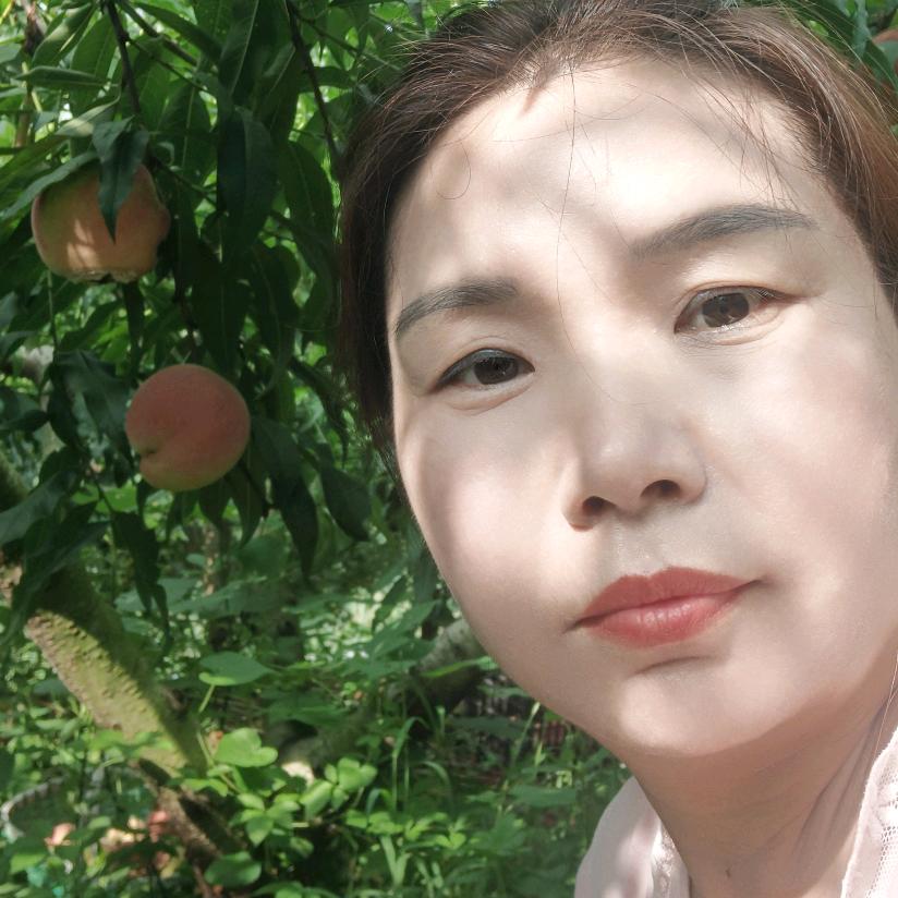 农村辉子