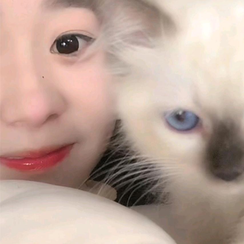 屎珍香.