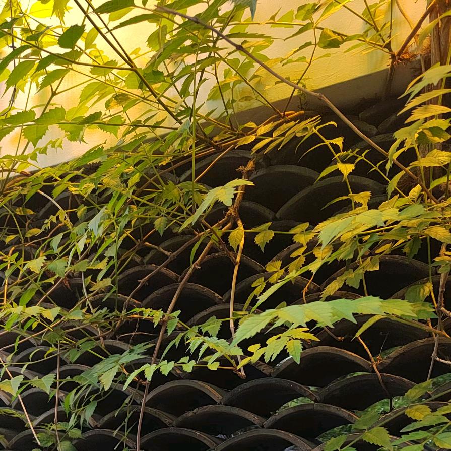 周村长宏布艺皮革