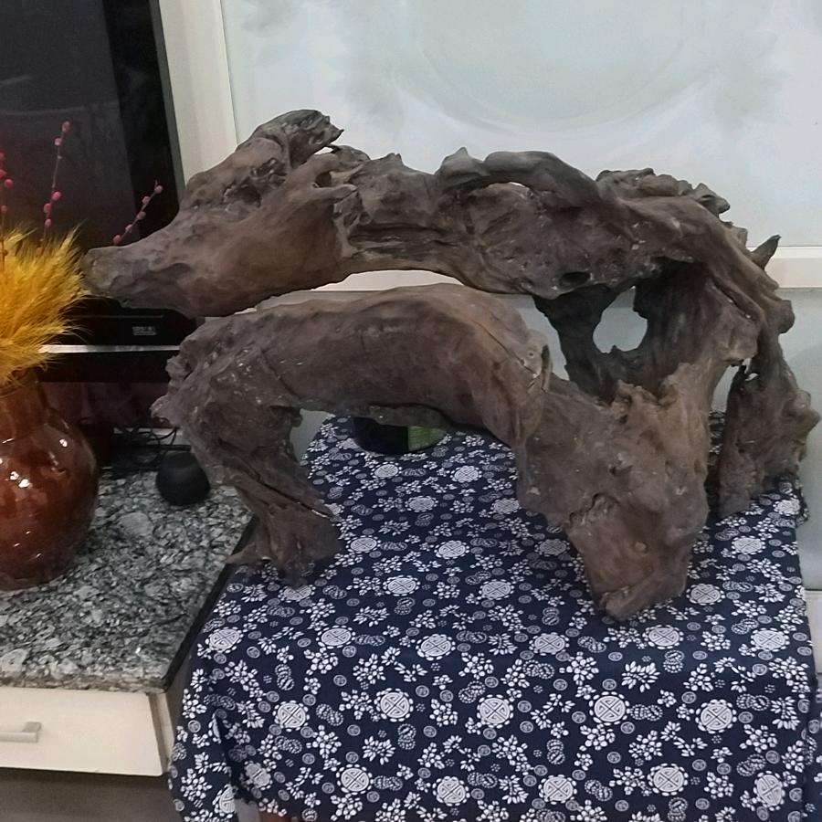 一生有你就足够