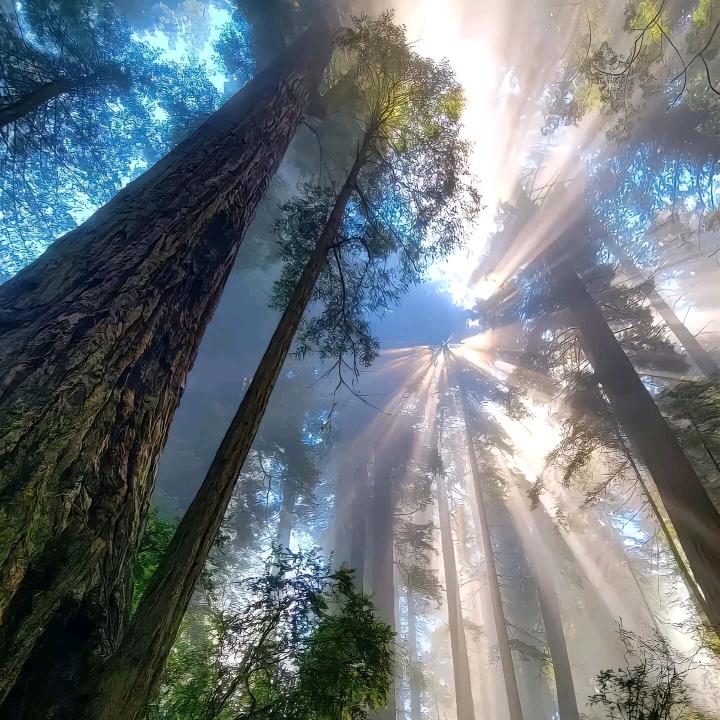 一二三向前走