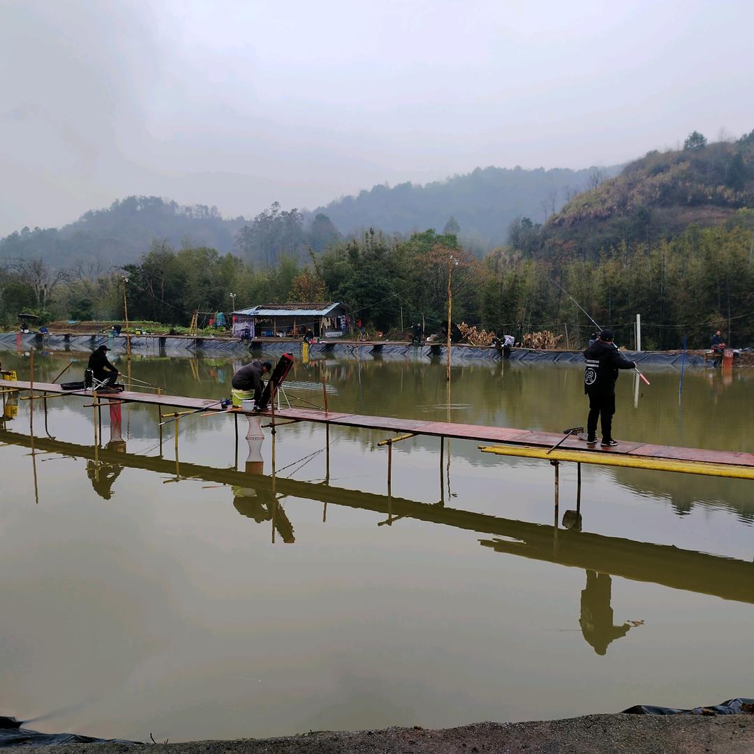 《钓🉐乐》塘主