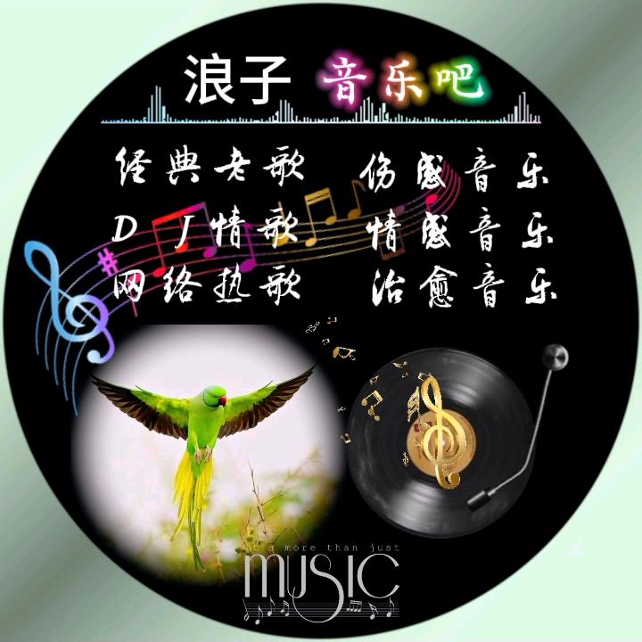 浪子音乐