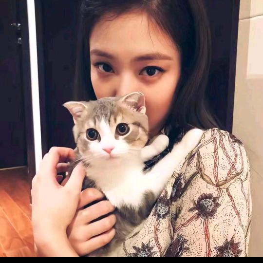丹丹🌟