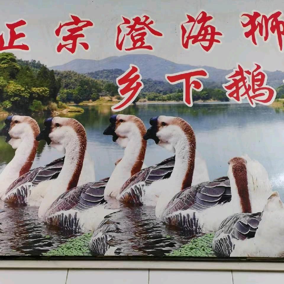 川记农家卤鹅