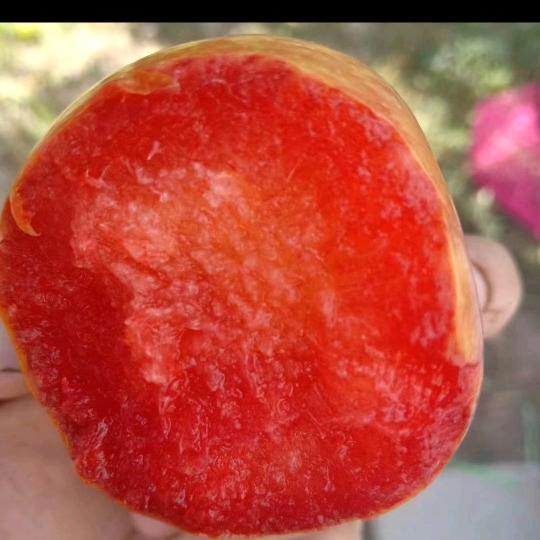 做人留一线日后好相见