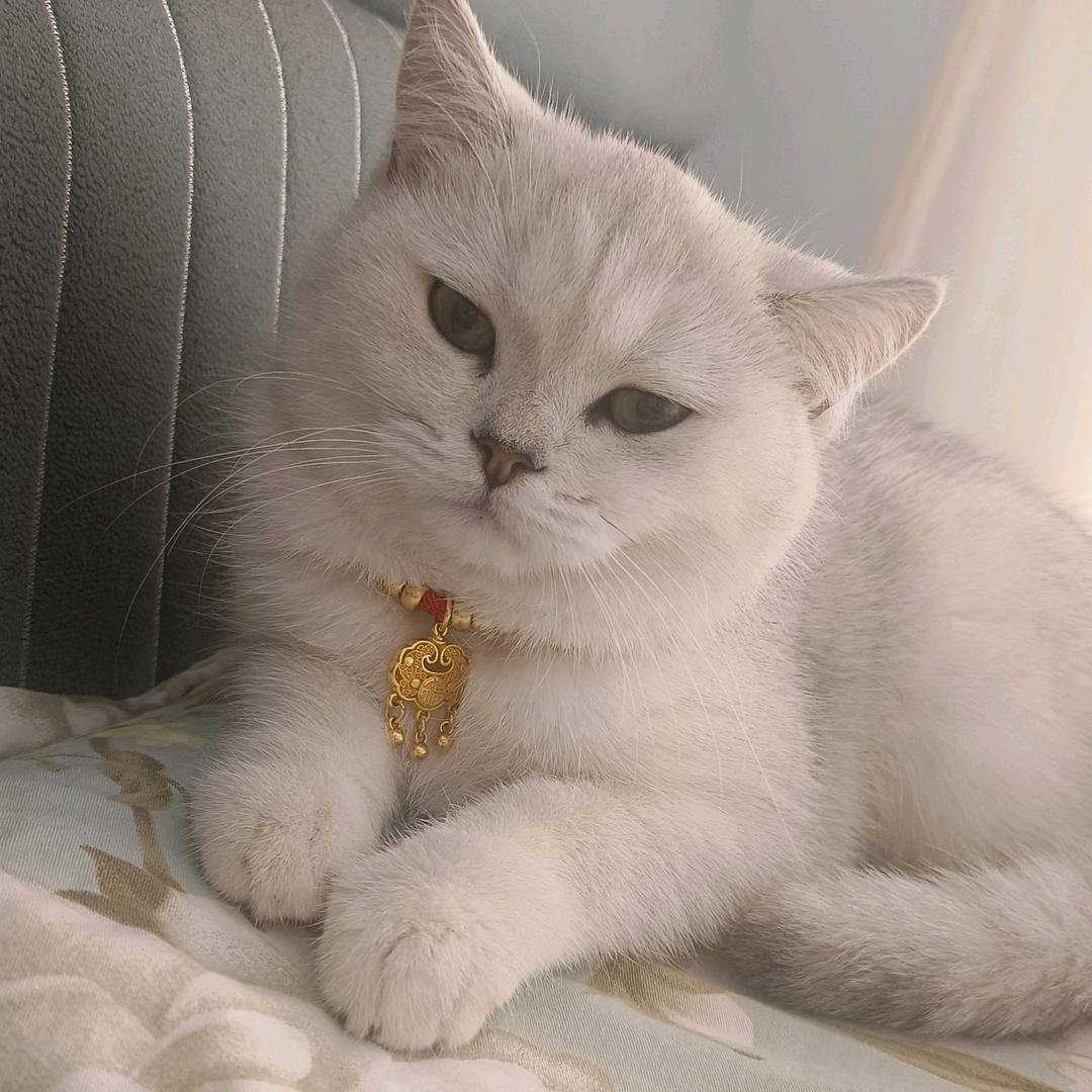 幸福春天（不要连赞谢谢）