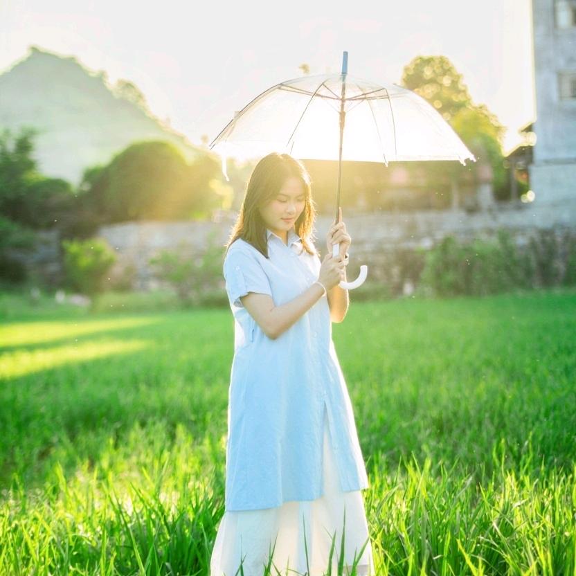 桑榆