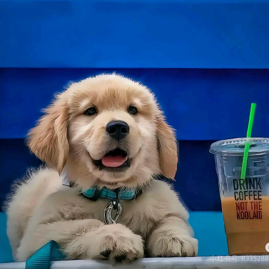 欧欧❤️