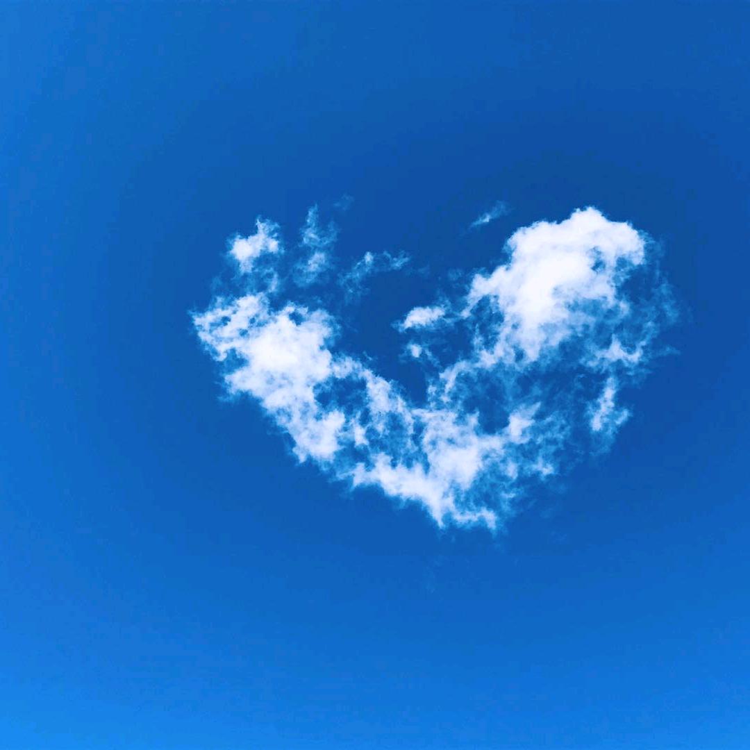 @陈芸儿Dr.