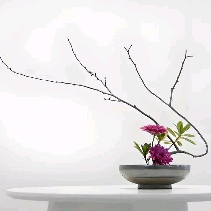 不離||不弃