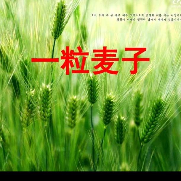 顺其自然。
