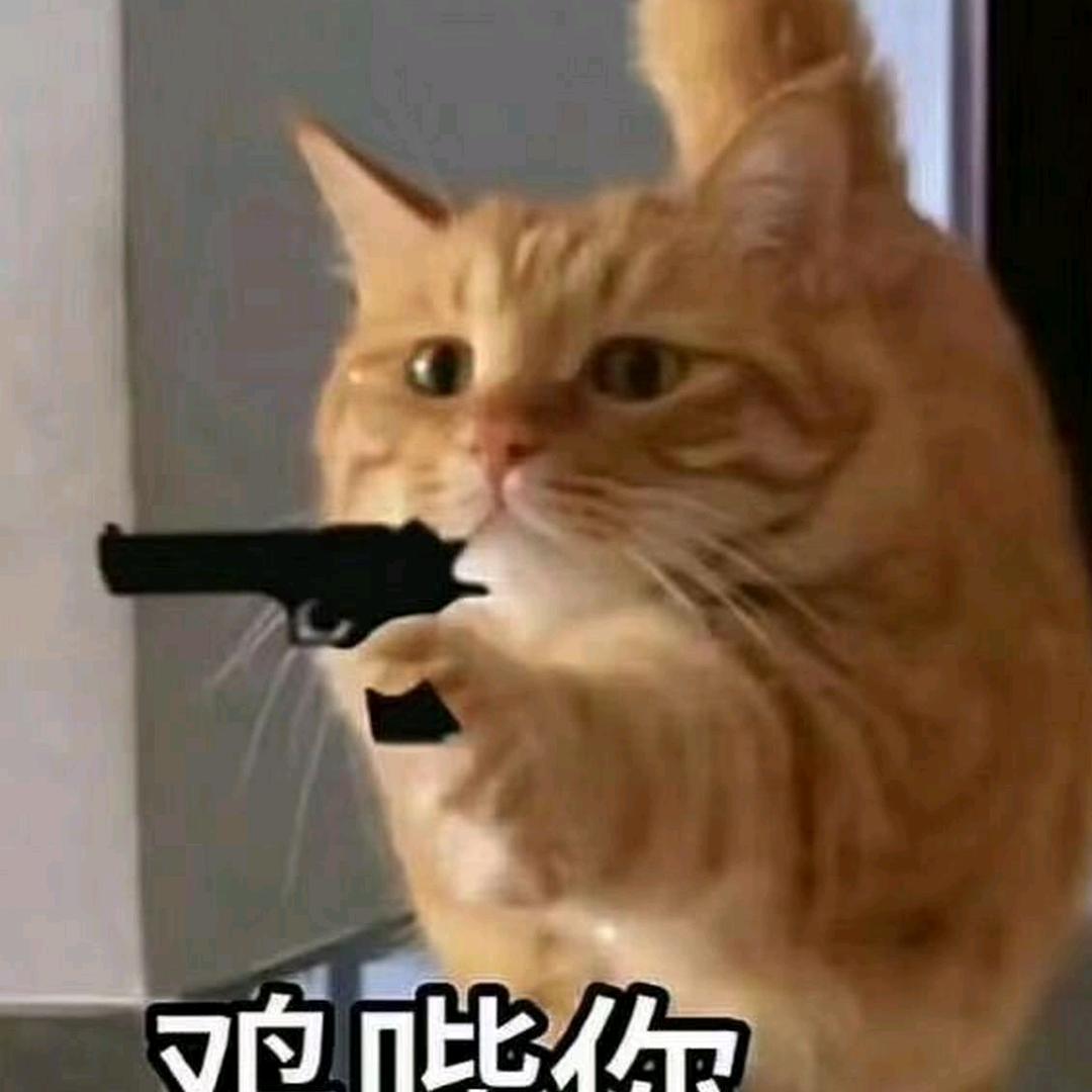 猹酱