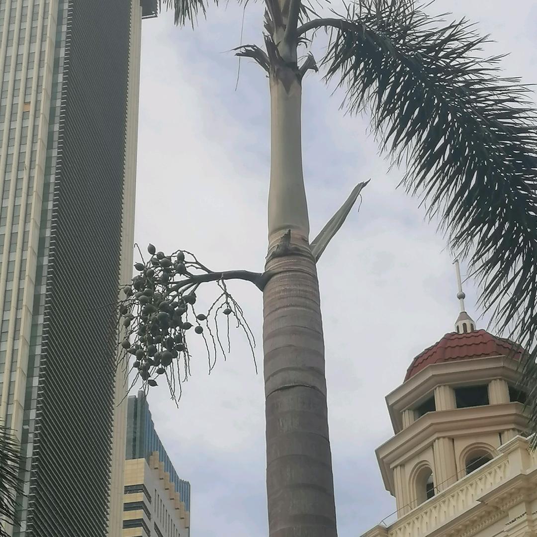 渝粤黔