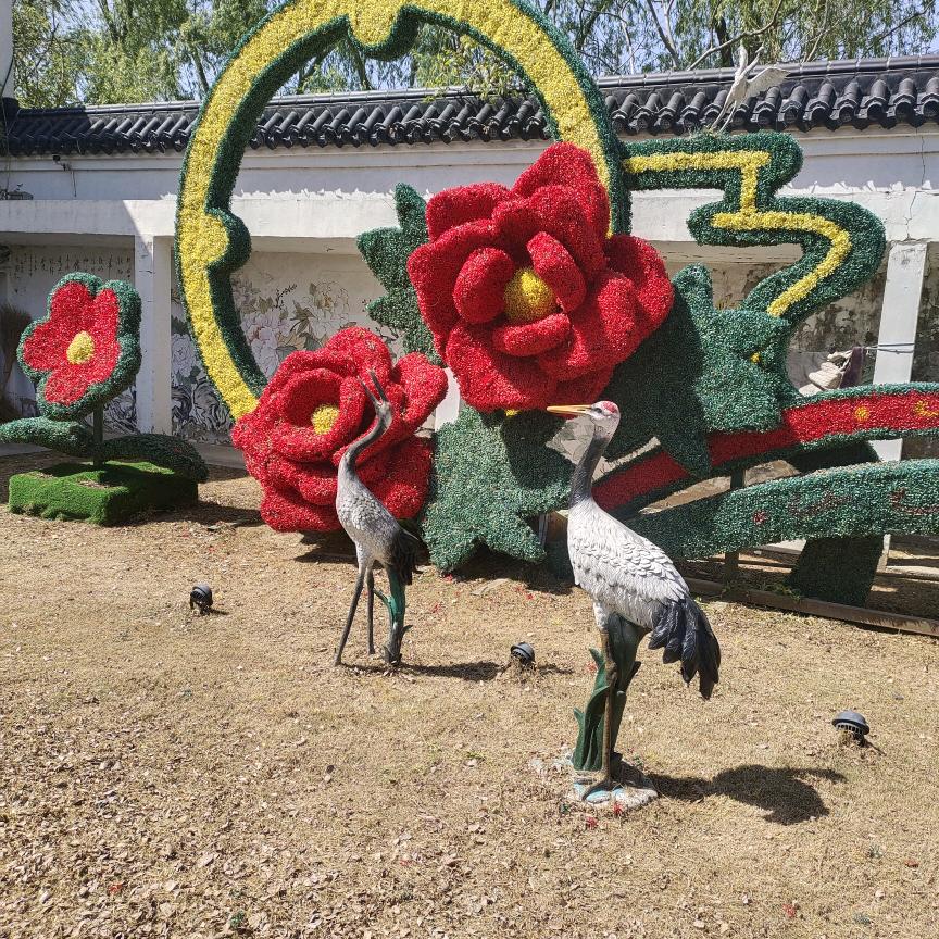 女人花