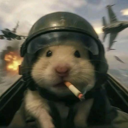 失眠. (三角洲行动)