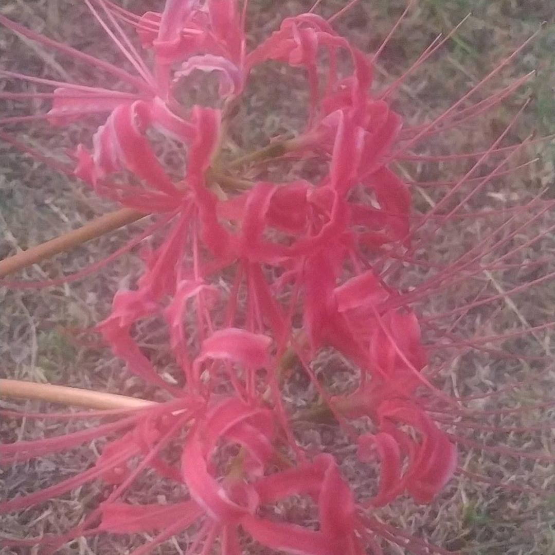 好好，好物分享